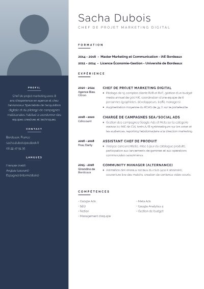 Template CV Professionnel